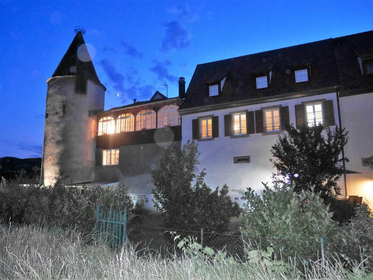 Les Gites De La Tour, Appartement "La Plaine" サン・ティポリット エクステリア 写真