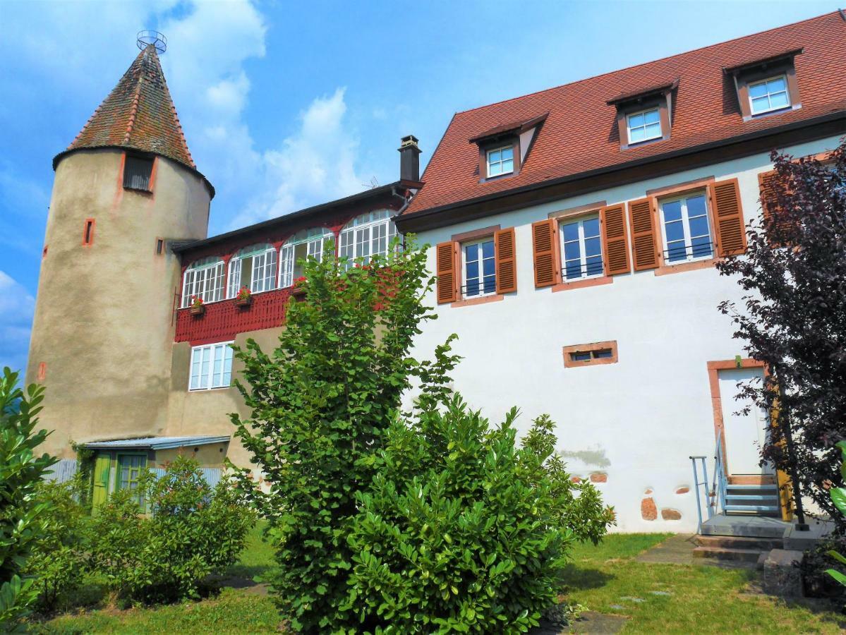 Les Gites De La Tour, Appartement "La Plaine" サン・ティポリット エクステリア 写真